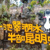 战国时代