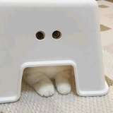 ŠÕ