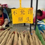 增增呆胶布