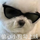 星冰乐