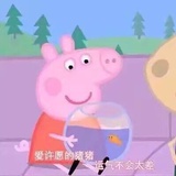 是爱吃板栗的🐹