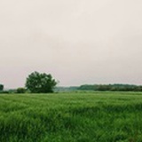 liebxing