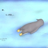 立夏の瓜