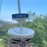 掉毛的11