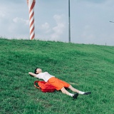 杂花生树