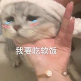 象牙山七哥