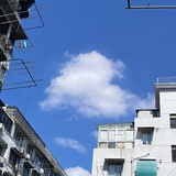 荔清圆