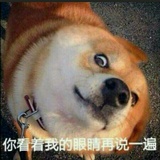 慎独的犬儒