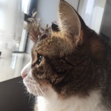 Tina