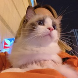 你是眼底一颗星