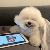 咕噜咕噜咕噜咕