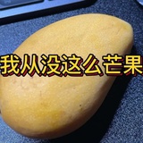 假如明天1996