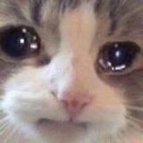 点