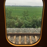 小小欣