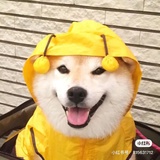 快乐冲浪🏄