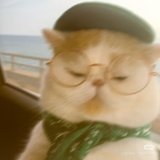 遊離態俩跳棒糖