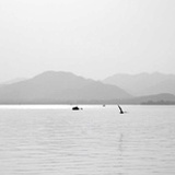 鄯枚