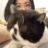 Lu
