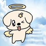 蒋主任