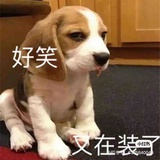 未注销