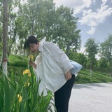 十四。