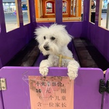 高贵路人
