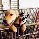 寒假作业、