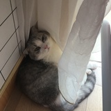 OOface