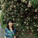 小半仙