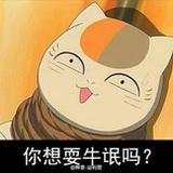 不是云儿