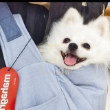 丁丁猫