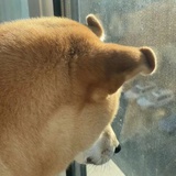 阿司匹林