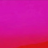 波丽露