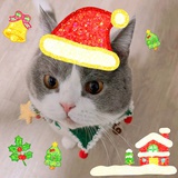 我家团子最可爱