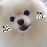 shjwbbc