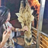 不刷碗也不吃饭