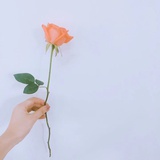 🌸