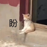 民政局