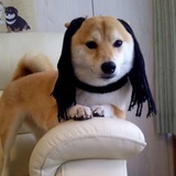 丧桑一