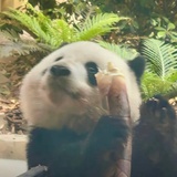 乐水