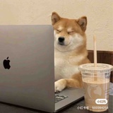 ᥬ🌝᭄