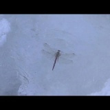 かみさま404