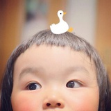 喜宝✨