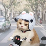 脑细胞了没