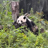 吃着火锅看电影