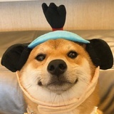 钨丝说