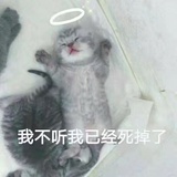 依恋