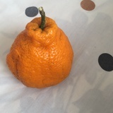 橘橘橘喵