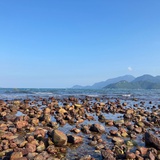 椒