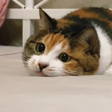 豆友124383669